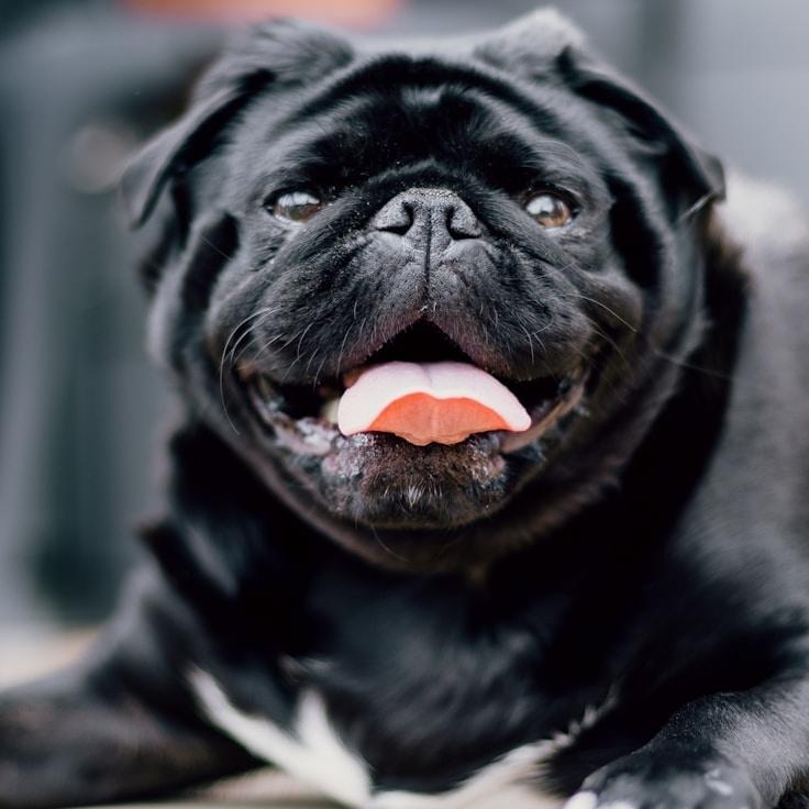 Anna Schmidt - Founder of Moss Bridge Way